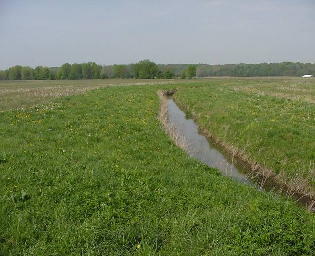 grass land with water strip