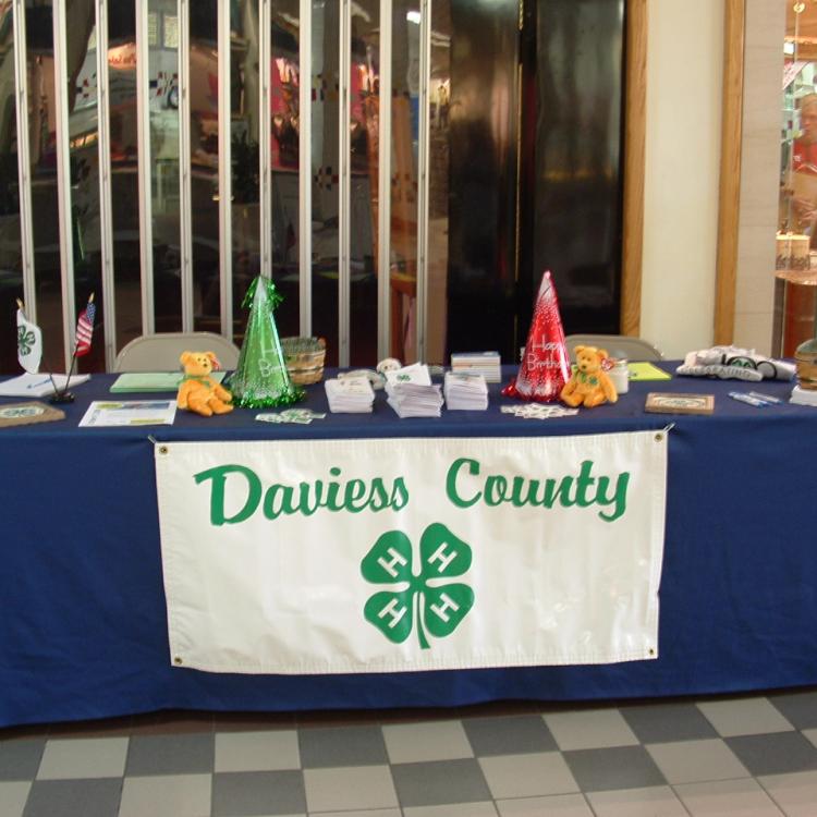  Daviess County 4-H booth