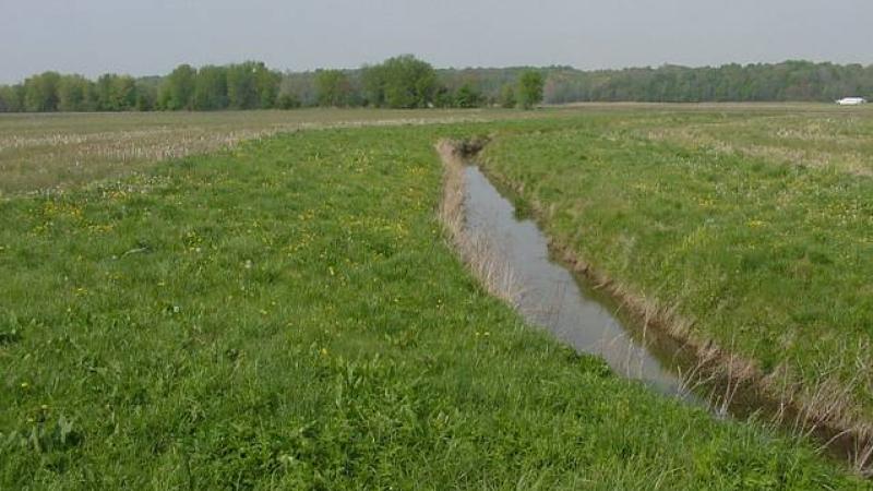 grass land with water strip