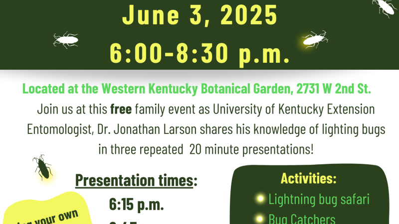 event flyer