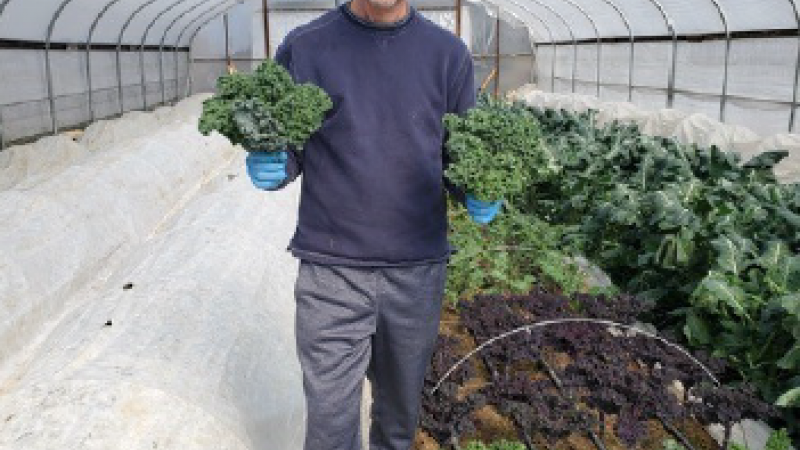 man standing in a greenhouse holding plants