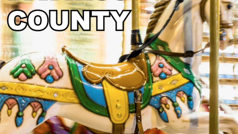2025 fair book logo
